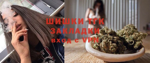 ПСИЛОЦИБИНОВЫЕ ГРИБЫ Алзамай