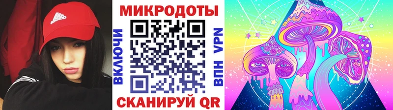 omg   Кизел  Псилоцибиновые грибы Psilocybine cubensis 