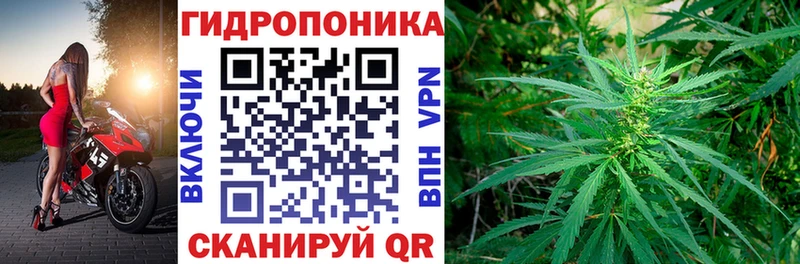 Марихуана гибрид  где можно купить   Кизел 
